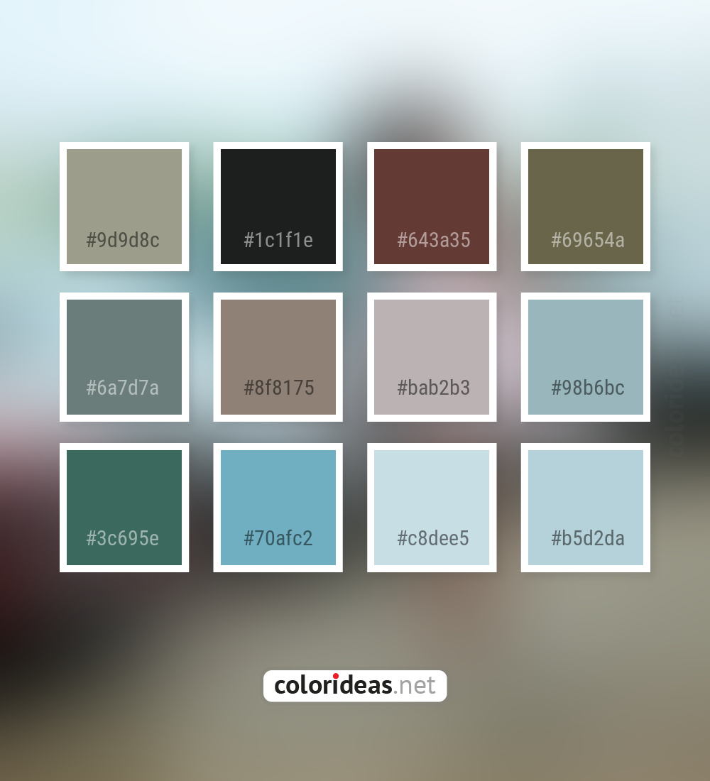 Sirocco Gray Light Slate Gray A9Aba7 Color Palette | Color palette ideas